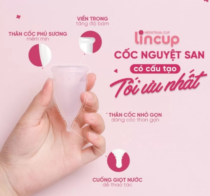 Cốc Nguyệt San Lincup Tặng Cốc Tiệt Trùng