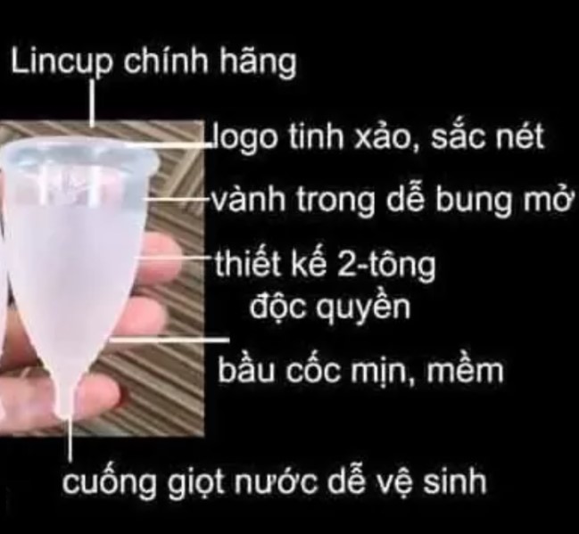 Cốc Nguyệt San Lincup Tặng Cốc Tiệt Trùng