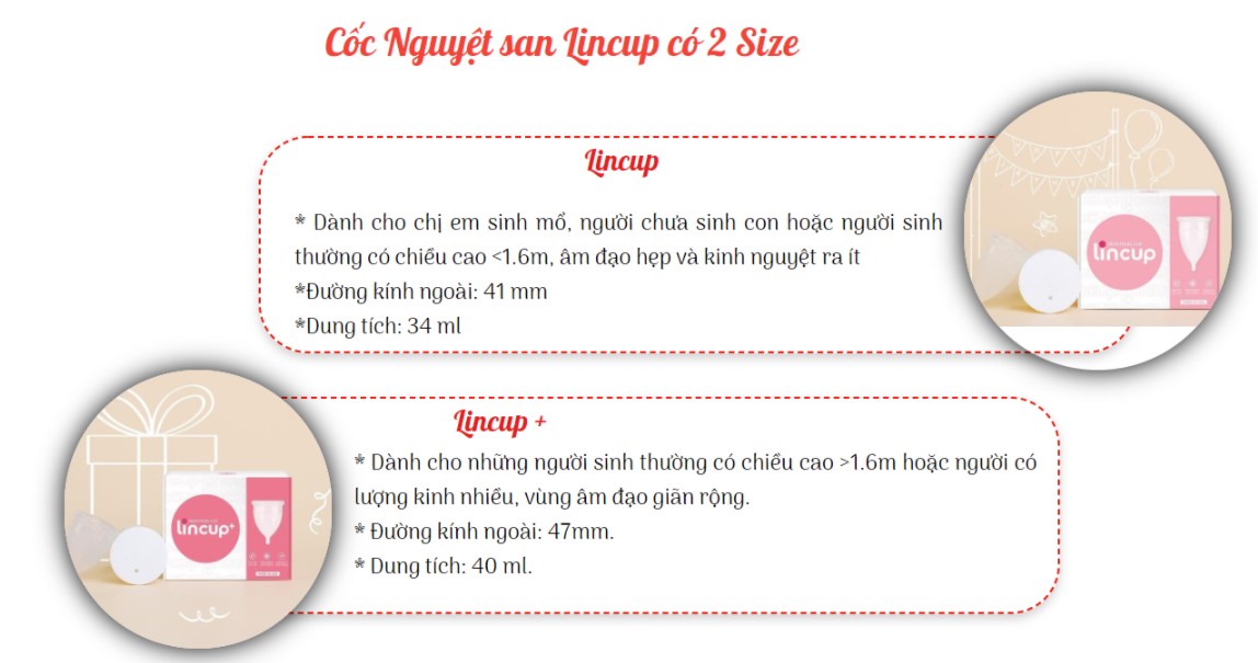 Cốc Nguyệt San Lincup Tặng Cốc Tiệt Trùng